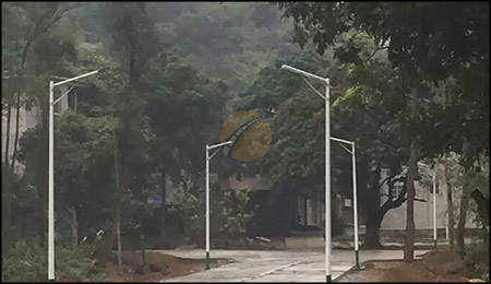 solar street light